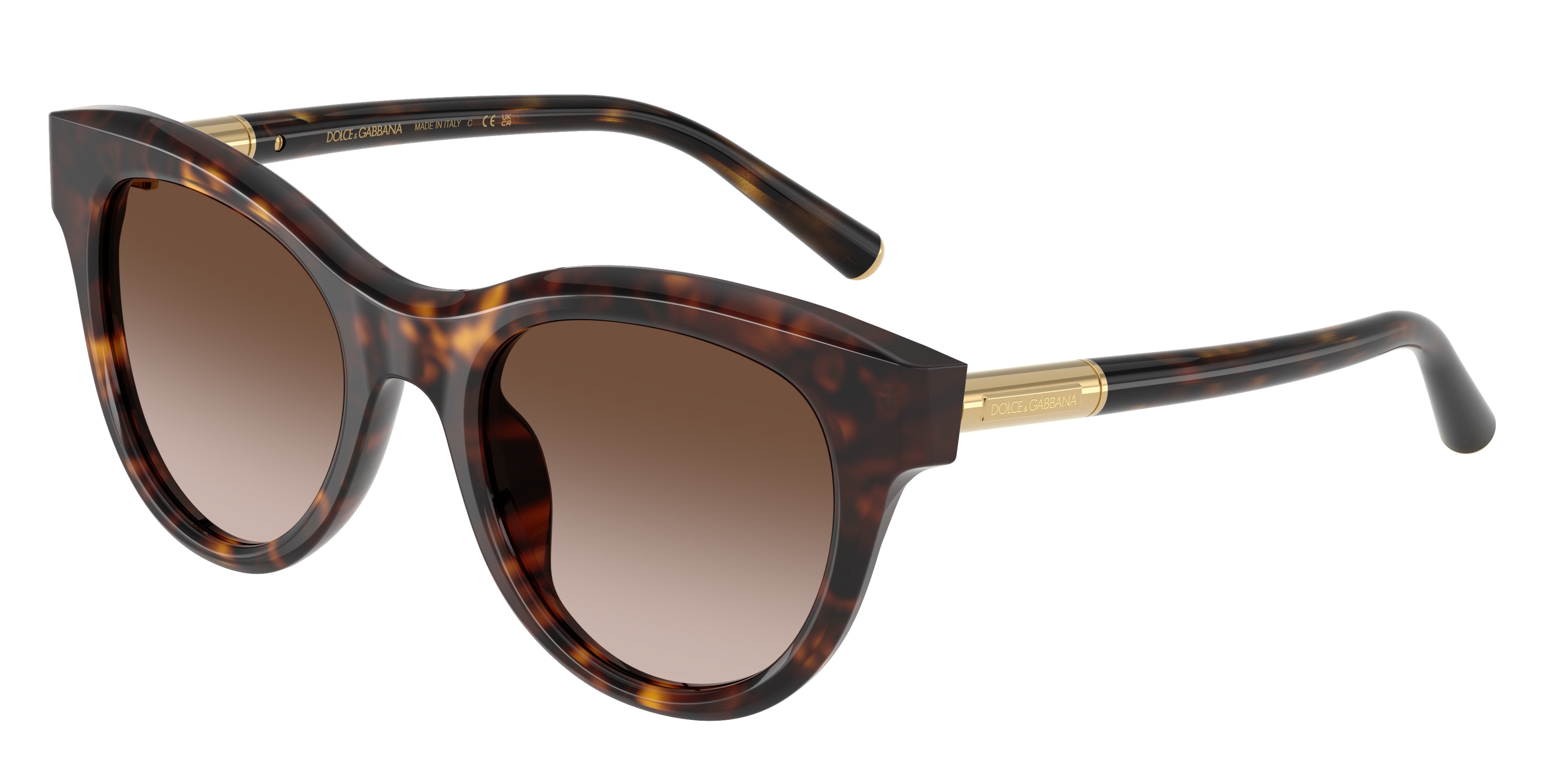 Dolce & Gabbana DG4518 502/13  